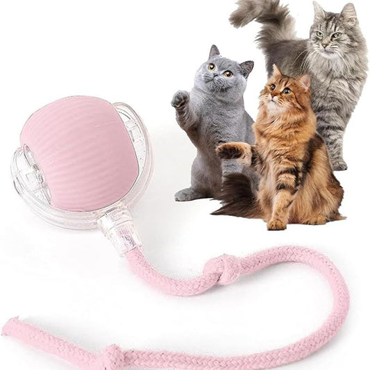 Moving Pet Ball With Rope