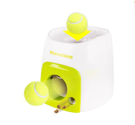 2-in-1 Enrichment Dog Toy