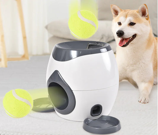 2-in-1 Enrichment Dog Toy